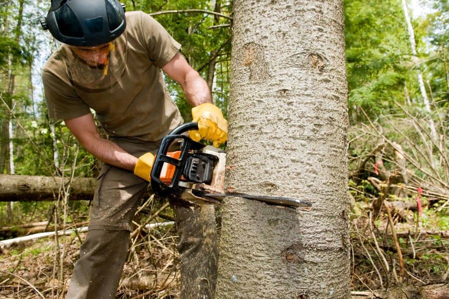 A tree cutter who complains about chronic shoulder pain is using the chainsaw.